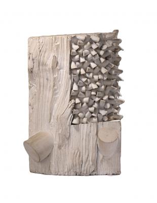 Sergio Camargo - Sculpteur - Estimation sculpture Sergio Camargo. Expertise sculpture, bois, marbre de Sergio Camargo. Vente aux enchères de sculptures, marbre, sculpture en bois de Sergio Camargo. valeur, cote, prix